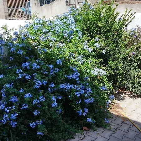 Un Attico Da Sogno Tra Mare E Cielo Casa vacanze *